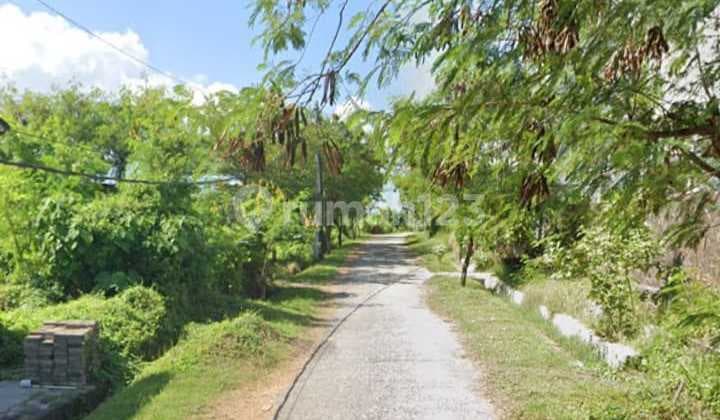 Strategic Small Land Near Kedungu Beach Tabanan Bali