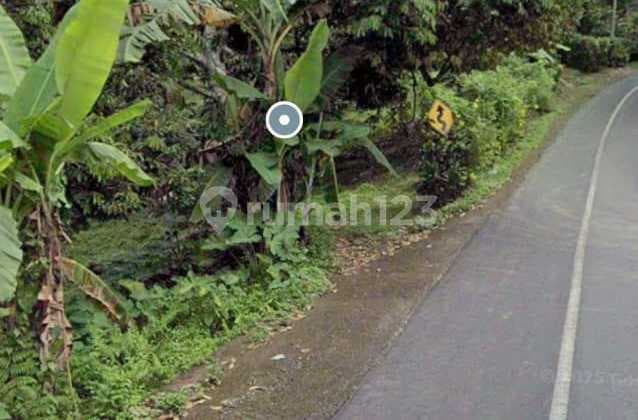 Land 3100m2 near Dajuma Resort, Tabanan Bali.