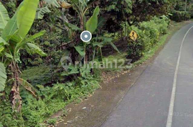 Land 3100m2 near Dajuma Resort, Tabanan Bali.