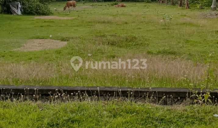 Tanah Datar 50 Meter ke Pantai, Akses 7 Meter Aspal