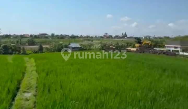 Tanah View Sawah Luas Strategis di Canggu Padonan