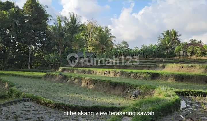 Tanah Komersial Langka Dekat Capella Ubud View Sawah