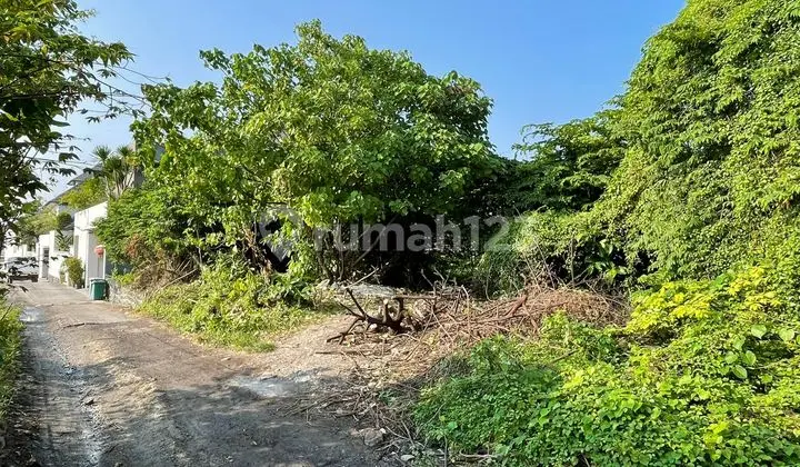 Tanah 450m2 Di Batu Bolong Canggu Lingkungan Villa