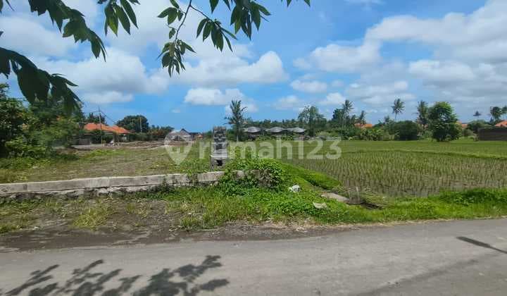 Tanah 650m2 View Sawah Lingkungan Villa Mewah Kemenuh Ubud