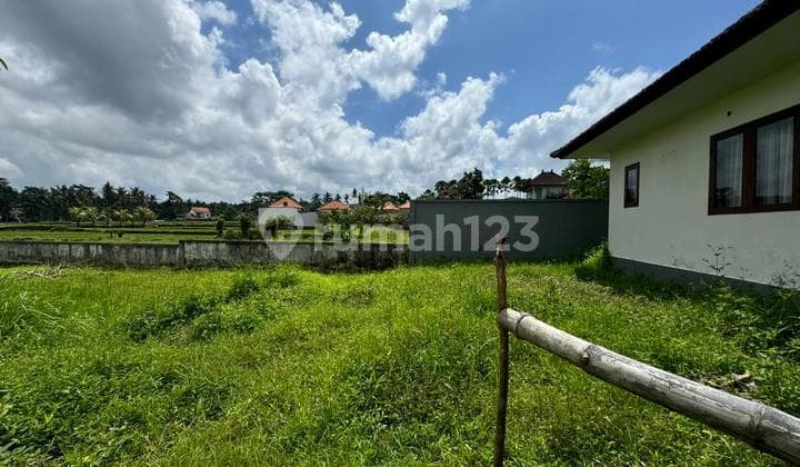 Tanah View Sawah Abadi Bonus Rumah Style Vila Di Ubud