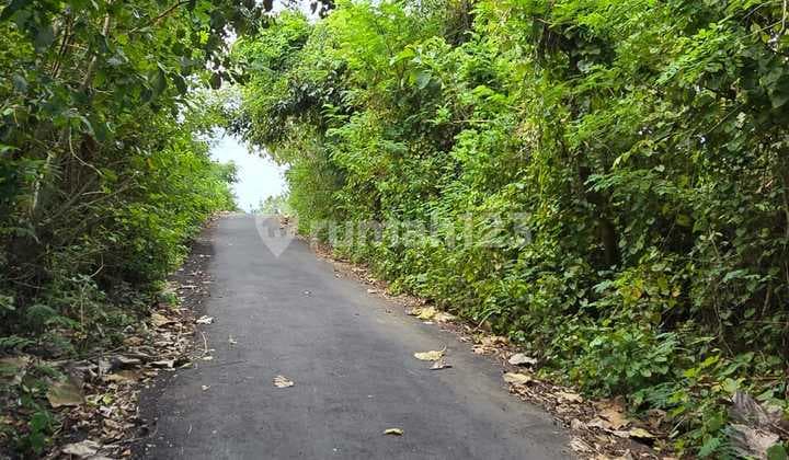 Kawasan Strategis 5 Menit Pantai Pandawa 1300M² SHM Lengkap