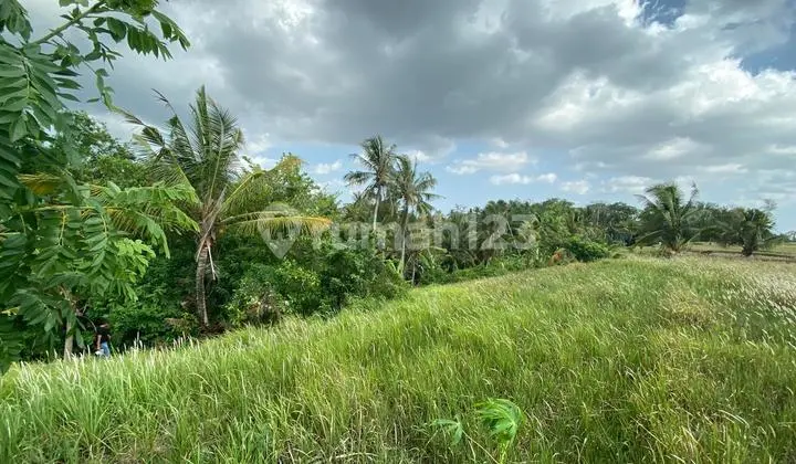 Tanah Strategis View Terasering Sawah Di Kaba Kaba Tabanan Bali