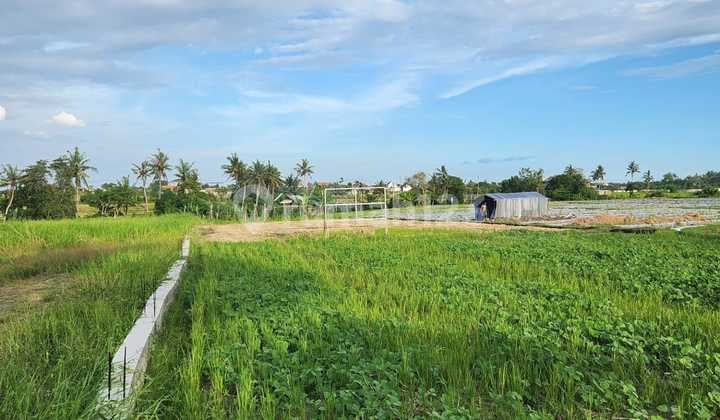Tanah Datar 1200m2 Dekat Pantai Munggu Canggu