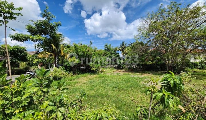 Tanah Komersil Strategis Dekat Pantai Pererenan Canggu Bali