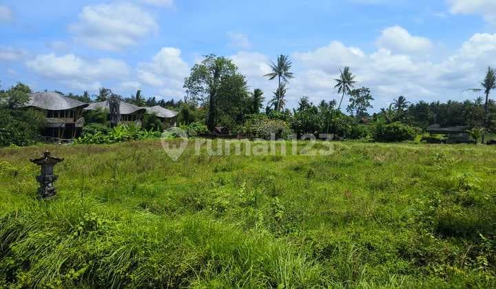 Tanah 870m2 Lingkungan Villa Mewah Di Kemenuh Ubud Gianyar