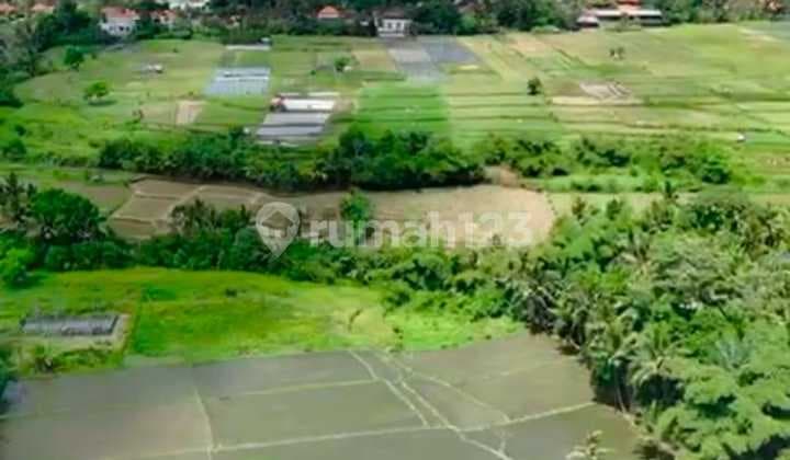 Kavling Strategis Kawasan Villa Mewah Ubud