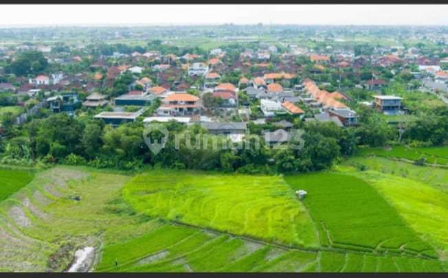 Kavling Premium Pererenan Canggu 600M², Akses Dekat Pantai