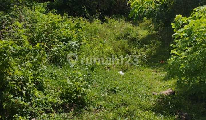 Lahan 1 Hektar Kawasan Villa Eksklusif Nusa Dua