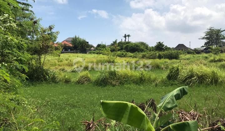 Umalas Land with Rice Field View, Best Price in Favorite Area