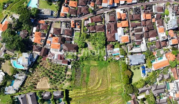 Commercial Land in Umalas with Rice Field Views, Premium Villa Area, Kerobokan