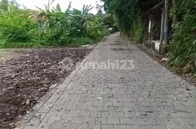 Hook Land Area Villa Sanur Near International School