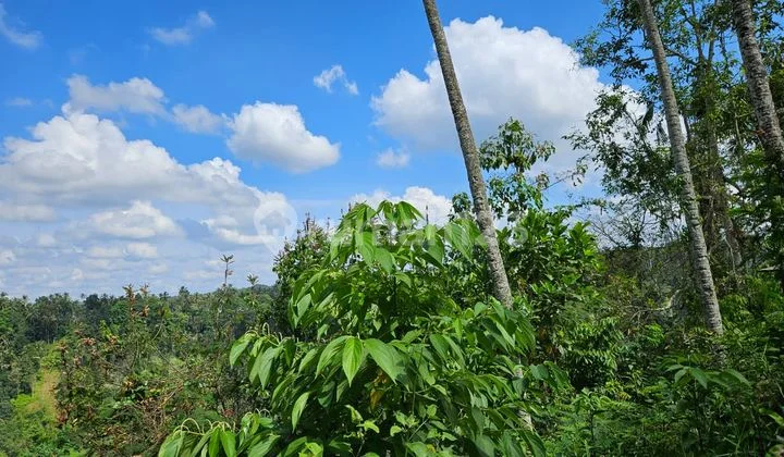 Kavling Siap Bangun Villa Munggu Dekat Akses Langsung ke Pantai