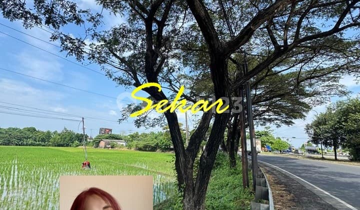 For Sale Commercial Land Pemalang Strategic Location Easy Access