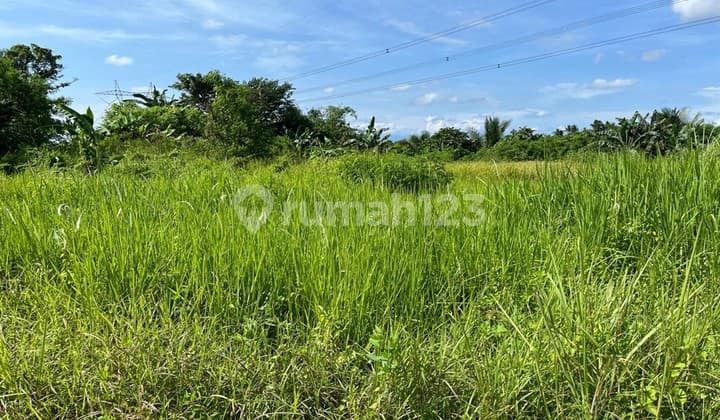 For Sale Tanah Maja Lebak Banten Cocok Buat Restaurant