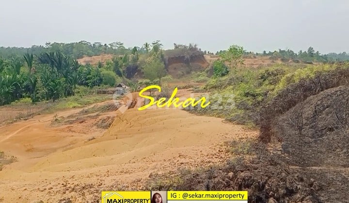Tanah Labuan Pandeglang Banten Cocok Buat Peternakan Perkebunan