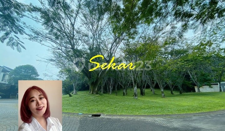 For Sale Kavling Delatinos Bsd Caribean Island Lokasi Bagus