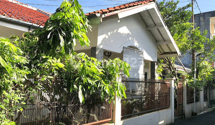 Rumah 1 Lantai Dijual di Ciparigi Bogor – Dekat KRL