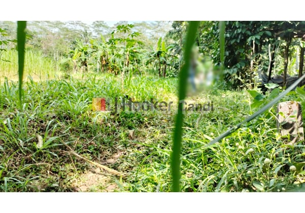 Kavling di Noborejo Argomulyo Salatiga Jawa Tengah