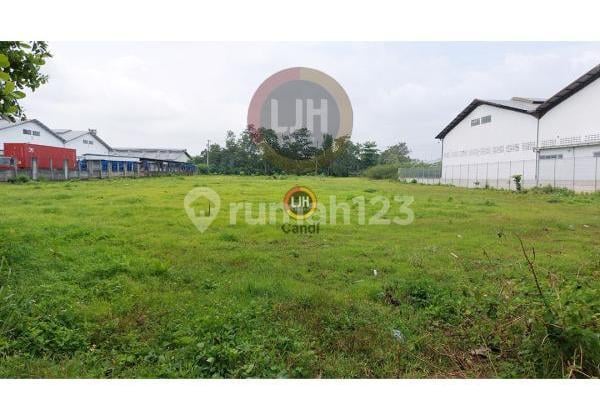 Warehouse in Randu Garut, Semarang Warehouse in Randu Garut, Semarang