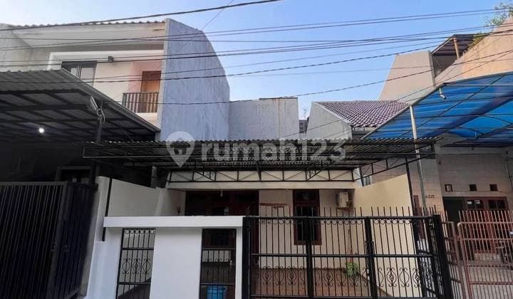 Dijual Cepat Termurah Rumah Kelapa Kopyor Kelapa Gading
