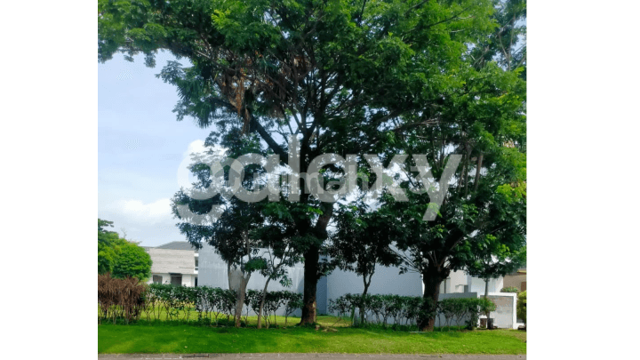 Tanah Lokasi Premium Strategis Raya Palm Beach Pakuwon City Surabaya Tanah Lokasi Premium Strategis Raya Palm Beach Pakuwon City Surabaya