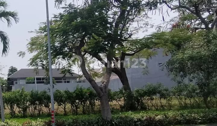 Tanah Kavling Pakuwon City Surabaya Boulevard Jalan Utama