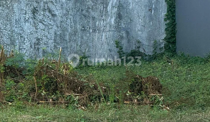 Tanah Siap Bangun Palm Beach Pakuwon City Tanah Siap Bangun Palm Beach Pakuwon City