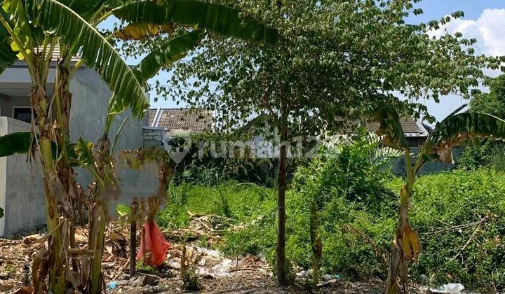 Tanah Murah Di Medokan Ayu Siap Bangun Strategis Tanah Murah Di Medokan Ayu Siap Bangun Strategis