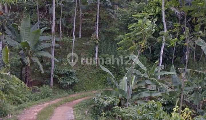 Tanah Bagus Luas di Temanggung Jawa Tengah