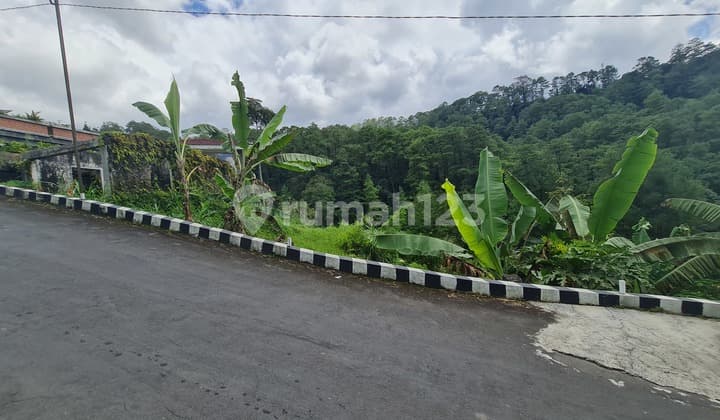 Tanah Istimewa Untuk Villa Di Tawangmangu Solo