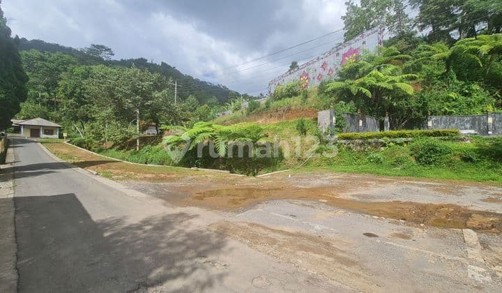 Tanah Strategis Untuk Villa Dan Resort Di Ngargoyoso Kemuning Karanganyar