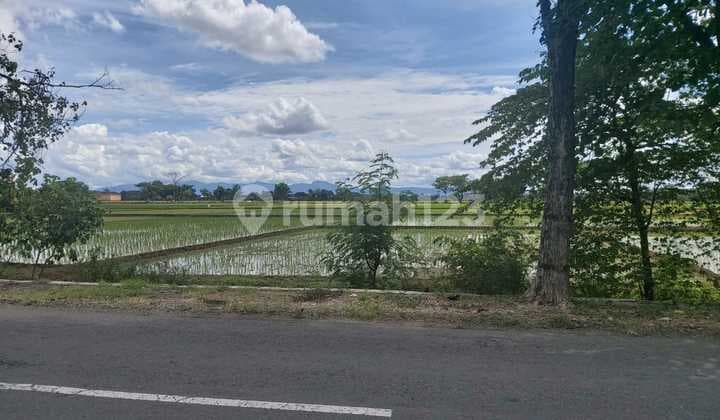 Tanah Kering Siap Bangun di Bendosari Jalan Raya Solo Sukoharjo