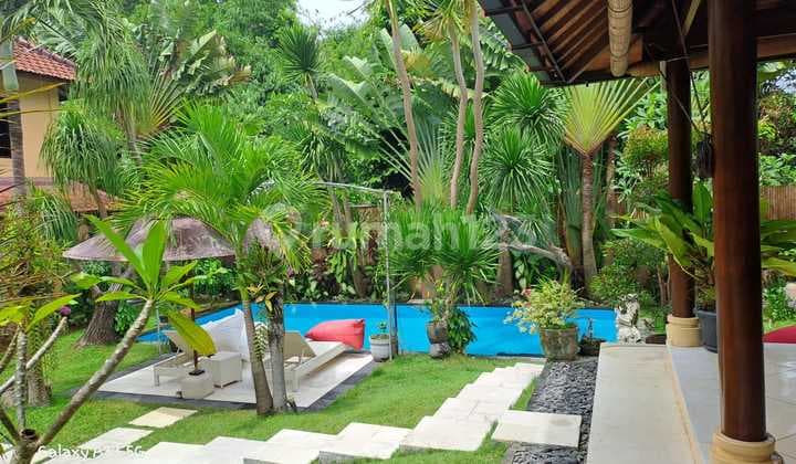 Villa Dengan Kebun Sangat Luas