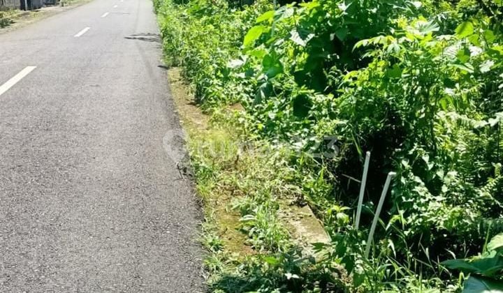 Land for rent in Jatiluwih