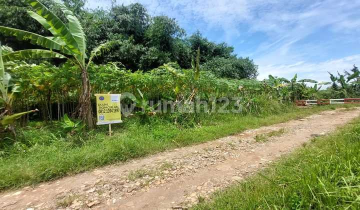 Tanah Kavling Bri Bebas Banjir Siap Bangun di Cilodong Depok