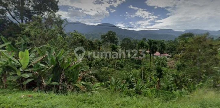 Dijual Tanah Dipinggir Jalan Tanjuang Baringin Sumatra Barat