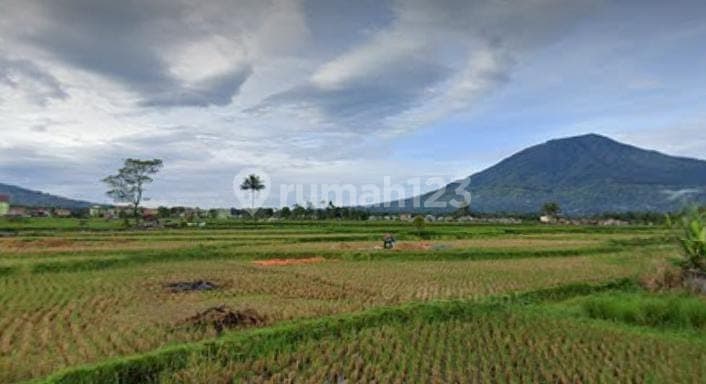 Dijual Tanah Di Pakan Labuah Tigobaleh Bukittinggi