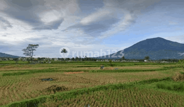 Di Jual Tanah di Pakan Labuah Tigo Baleh Bukittinggi