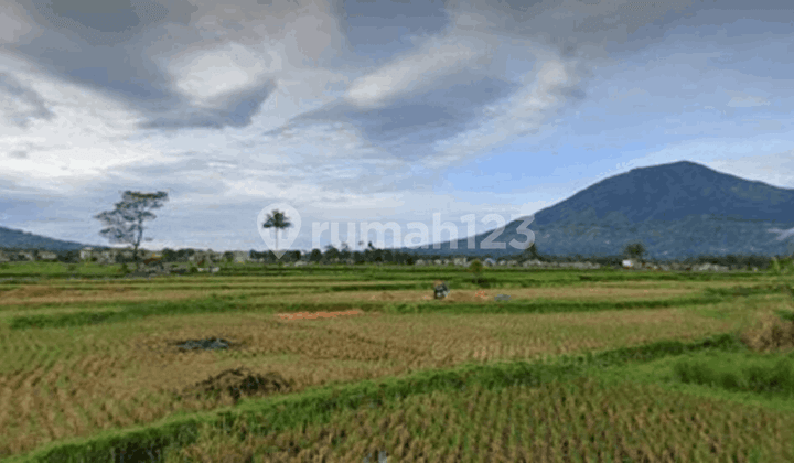 Di Jual Tanah di Pakan Labuah Tigo Baleh Bukittinggi