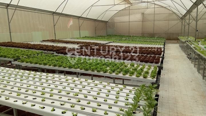 TANAH DAN BANGUNAN EX KEBUN HIDROPONIK JUAL HARGA TANAH SAJA
