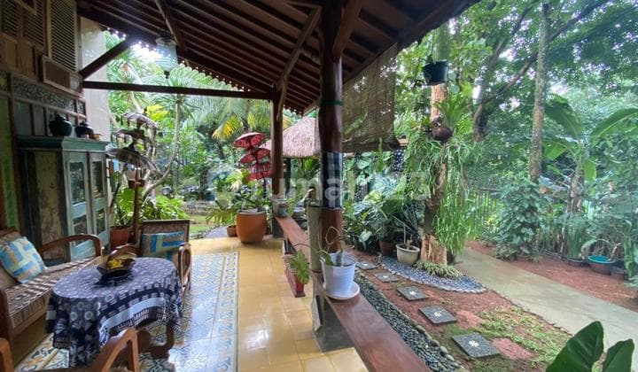 Rumah asri cantik ada kelebihan tanah luas di Delatinos BSD