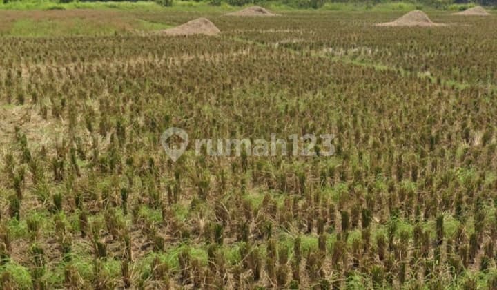Tanah Untuk Gudang Jl.proklamasi Karawang Barat