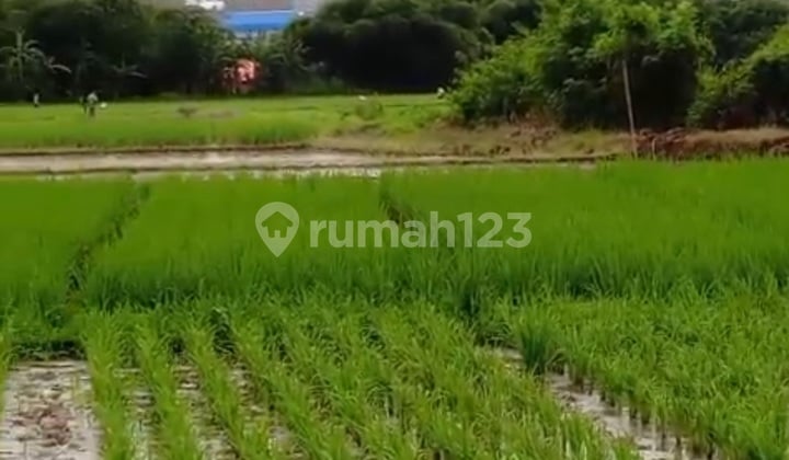 Tanah Zona Industri, 2,5 Ha - Desa Kedawung Subang, Dekat Smartpolitan.