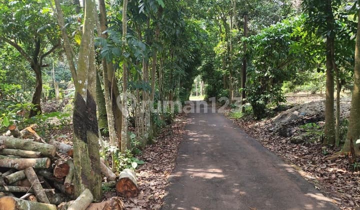 Subang Tanah Zona Industri - Luas Mulai 4.600M2