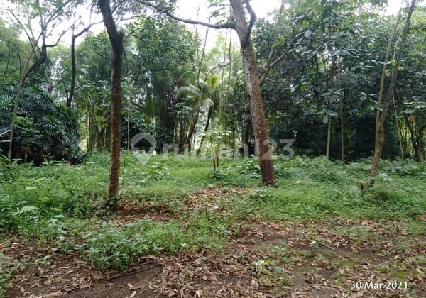 Gd Dijual Tanah di Cipayung, Jakarta Timur